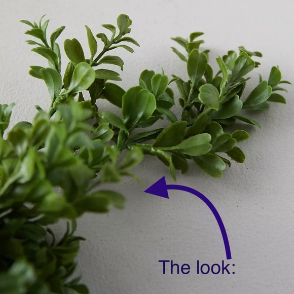 TERRAIN ANTHROPOLIGIE | Accents | 2faux Boxwood Garland Terrain 72 Long ...